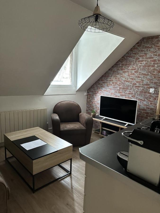 Le Studio Du Square: Beauval Romorantin-Lanthenay Eksteriør billede